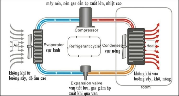 quy trình sấy lạnh giúp bảo quản thực phẩm